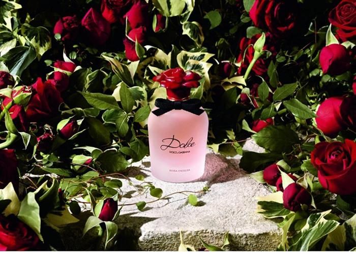 Mua Nước Hoa Nữ Dolce & Gabbana Dolce Rosa Excelsa EDP 50ml, chính hãng Ý,  Giá tốt