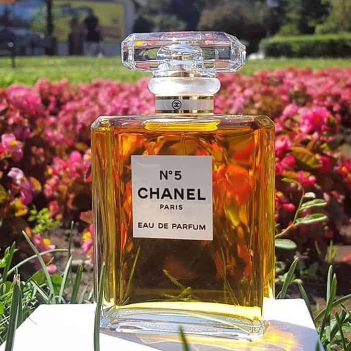 Mùi hương nước hoa Chanel No5 EDP Pháp