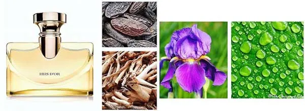 Nước Hoa Nữ Bvlgari Splendida Iris D'Or EDP 30ml - Nước hoa - Vua Hàng Hiệu