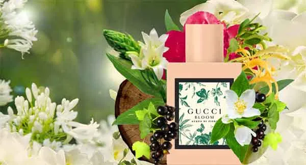 Nước Hoa Nữ Gucci Bloom Acqua Di Fiori 5ml - Nước hoa - Vua Hàng Hiệu