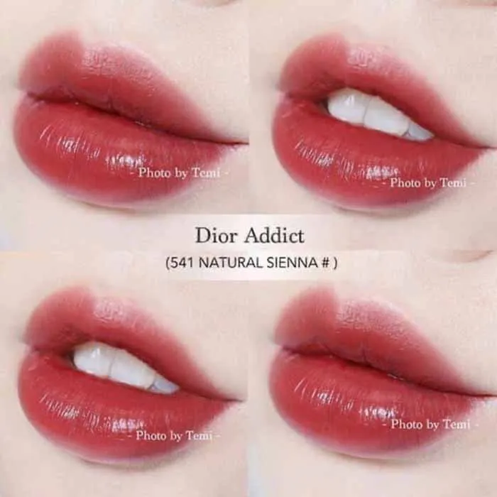 Son Dior Addict Lip Tattoo Màu 541 Natural Sienna  Thế Giới Son Môi