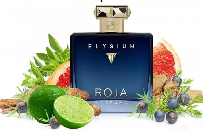Nước Hoa Nam Roja Parfums Elysium Pour Homme Parfum Cologne 100ml - 3