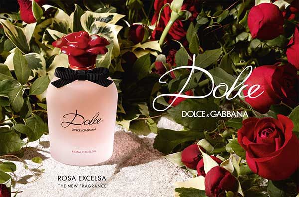 Thiết kế chai nước hoa Dolce & Gabbana Rosa Excelsa 50ml