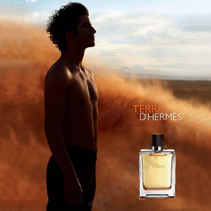 Mùi hương nước hoa Hermes Terre D’hermes Paris Parfum Pure Perfume