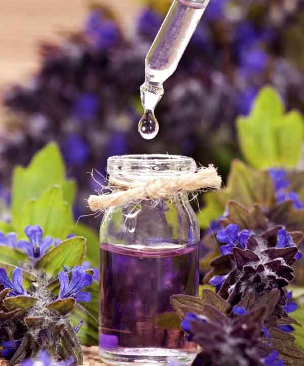 Top 7 nước hoa Lavender giá rẻ được tin dùng nhiều nhất - 2