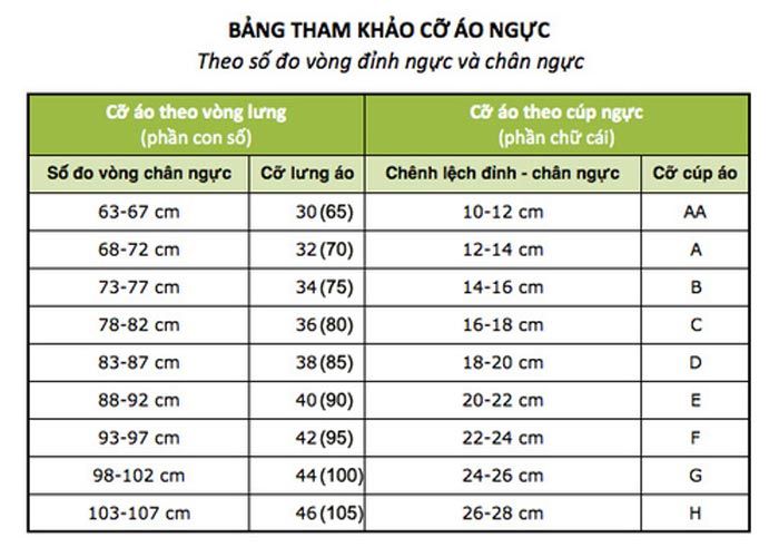 Cách đo size áo ngực chuẩn kích thước Việt Nam và quốc tế-3