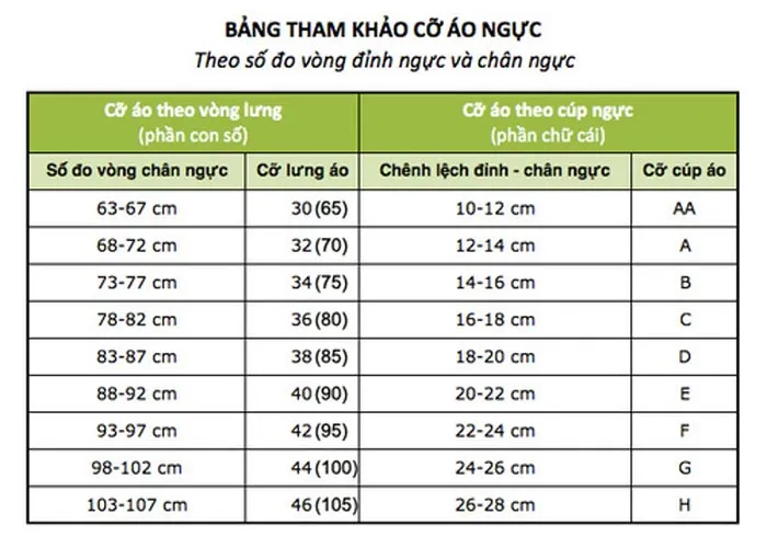 Cách đo size áo ngực chuẩn kích thước Việt Nam và Quốc Tế - 5
