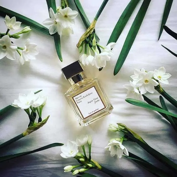 Nước Hoa Unisex Maison Francis Kurkdjian - MFK Aqua Vitae Forte EDP 70ml - Nước hoa - Vua Hàng Hiệu