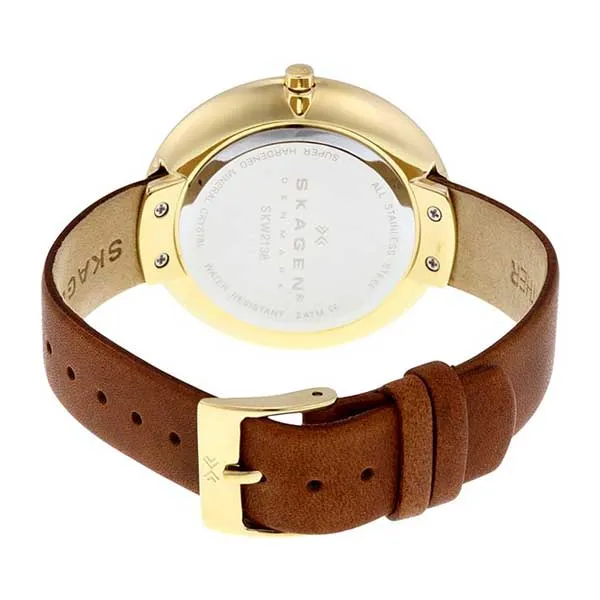 Đồng Hồ Skagen SKW2138 Cho Nữ