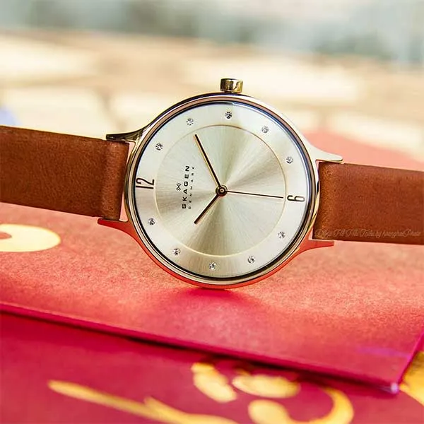 Đồng Hồ Skagen SKW2138 Cho Nữ