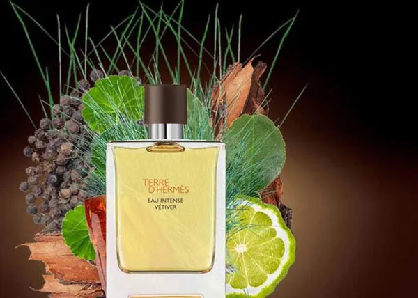 Top 7 chai nước hoa Hermès nam chính hãng có mùi hương nam tính nhất - 12