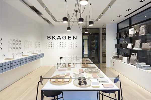 Đồng Hồ Skagen SKW2138 Cho Nữ