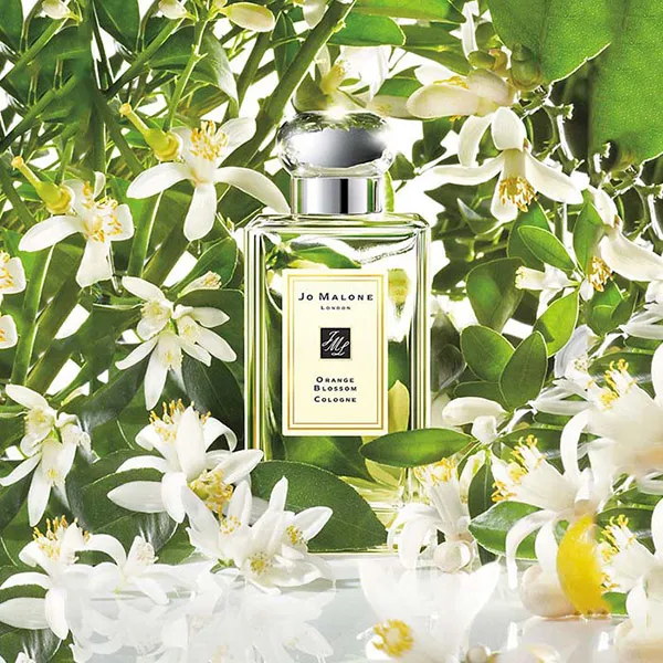 Nước Hoa Unisex Jo Malone London Orange Blossom Cologne 100ml