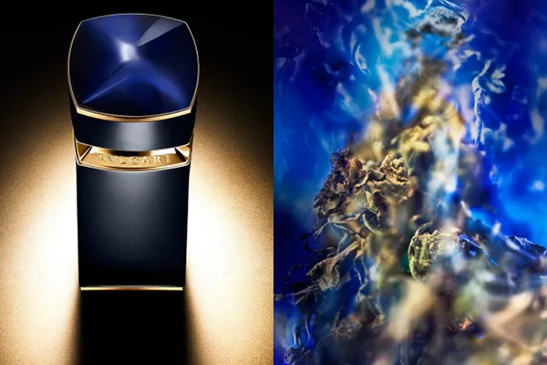 Nước Hoa Nam Bvlgari Le Gemme Gyan EDP 100ml - Nước hoa - Vua Hàng Hiệu