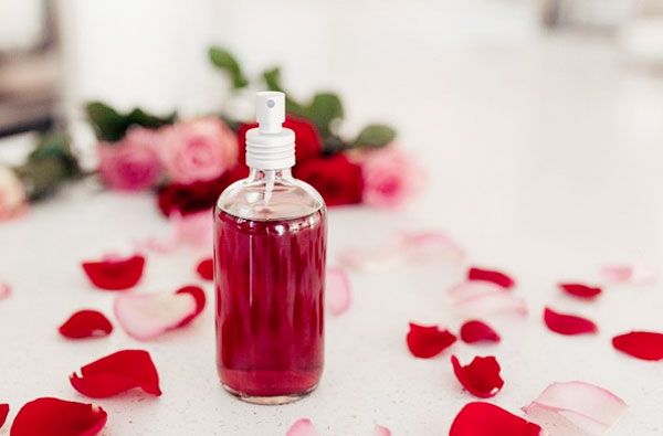 Hướng dẫn 10 cách làm nước hoa hồng dưỡng da đơn giản tại nhà - 13