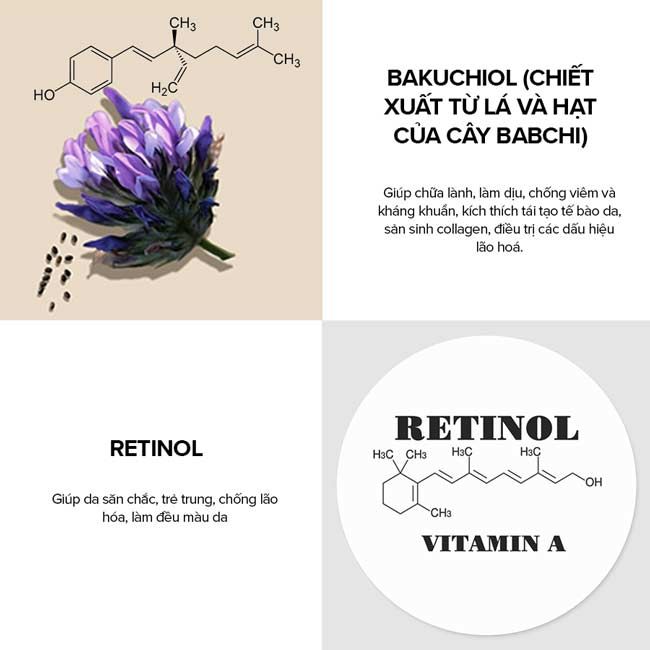 Bakuchiol là gì? Top 5 mỹ phẩm bakuchiol tốt nhất cho da lão hóa - 5
