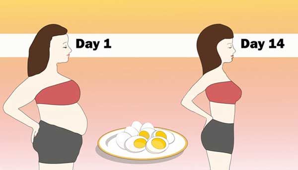 Thực đơn giảm cân trong 7 ngày với trứng an toàn cho sức khỏe - 14