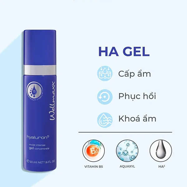 Gel Dưỡng Ẩm Cho Da Khô Wellmaxx Hyaluron Moist Intense Gel Concentrate 50ml - Mỹ phẩm - Vua Hàng Hiệu