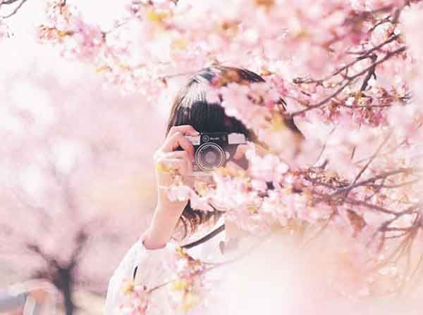 Bỏ túi 5 cách tạo dáng chụp ảnh với hoa đào, hoa mai “triệu like”-15