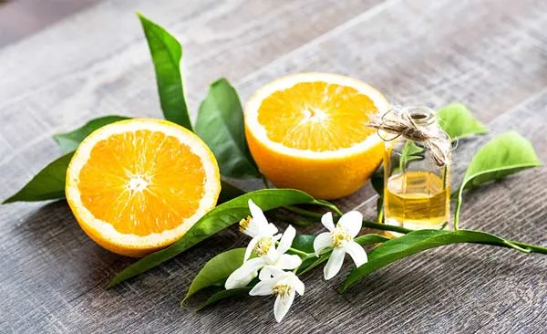 Top 12 chai nước hoa Orange Blossom mùi hoa cam ngọt mát
