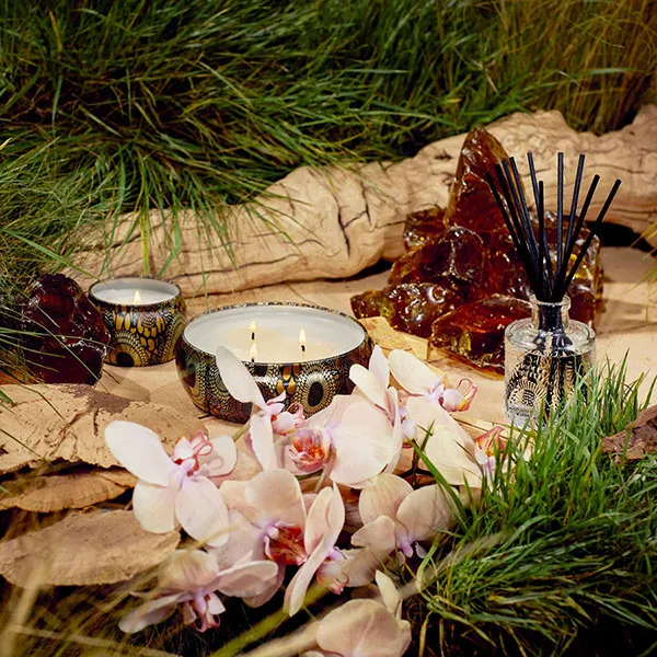 Bộ Nến Mini Voluspa Candle Set - Nissho-Soleil, Baltic Amber, French Cade & Lavender - Nến thơm - Vua Hàng Hiệu