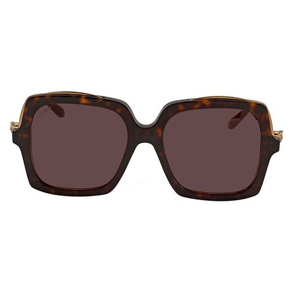 Kính Mát Cartier Brown Square Sunglasses CT0117SA00255 Màu Nâu - 1