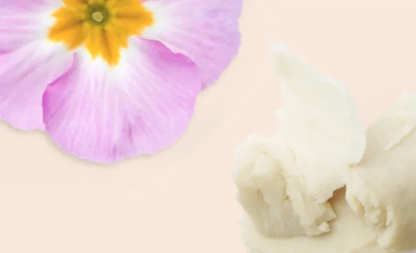 Kem Dưỡng Thể Hỗ Trợ Trẻ Hóa Săn Chắc Da Paula's Choice Skin - Smoothing Retinol Body Treatment 118ml