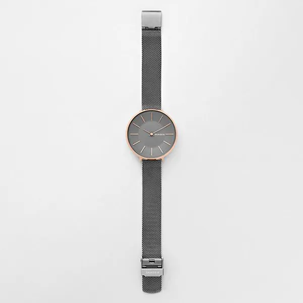 Đồng Hồ Skagen SKW2689 Cho Nữ Màu Xám - Đồng hồ - Vua Hàng Hiệu