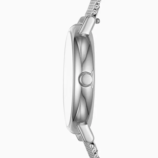 Đồng Hồ Skagen SKW2692 Cho Nữ Màu Bạc - Đồng hồ - Vua Hàng Hiệu