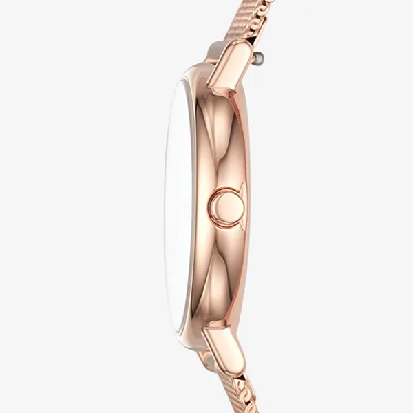 Đồng hồ Skagen SKW2694 Cho Nữ Màu Vàng Hồng Mặt Trắng - Đồng hồ - Vua Hàng Hiệu