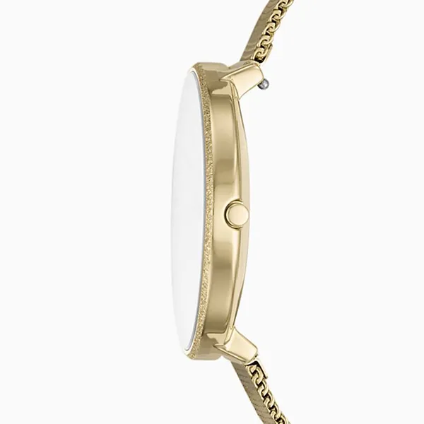 Đồng Hồ Nữ Skagen SKW2722 Màu Vàng Đồng Mặt Trắng