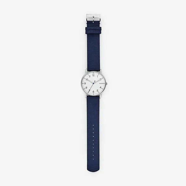 Đồng Hồ Skagen SKW6356 Cho Nam Màu Xanh Bạc