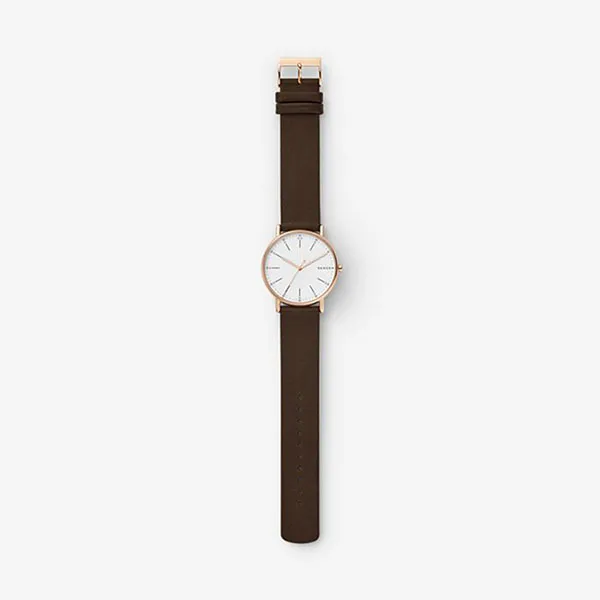 Đồng Hồ Skagen SKW6431 Cho Nam Màu Nâu Mặt Bạc