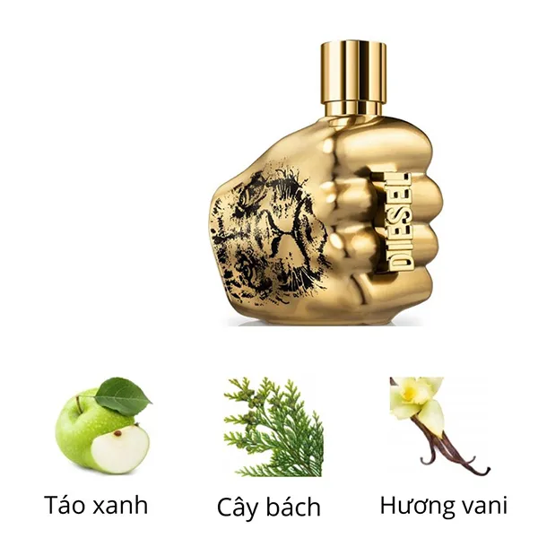 Nước Hoa Nam Diesel Spirit Of The Brave Intense EDP 75ml - Nước hoa - Vua Hàng Hiệu