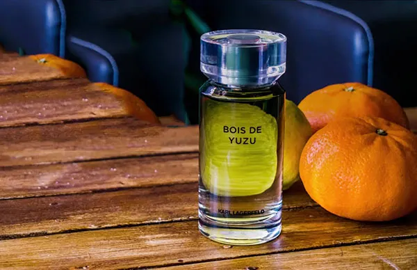 Nước Hoa Nam Karl Lagerfeld Bois de Yuzu EDT 100ml - Nước hoa - Vua Hàng Hiệu