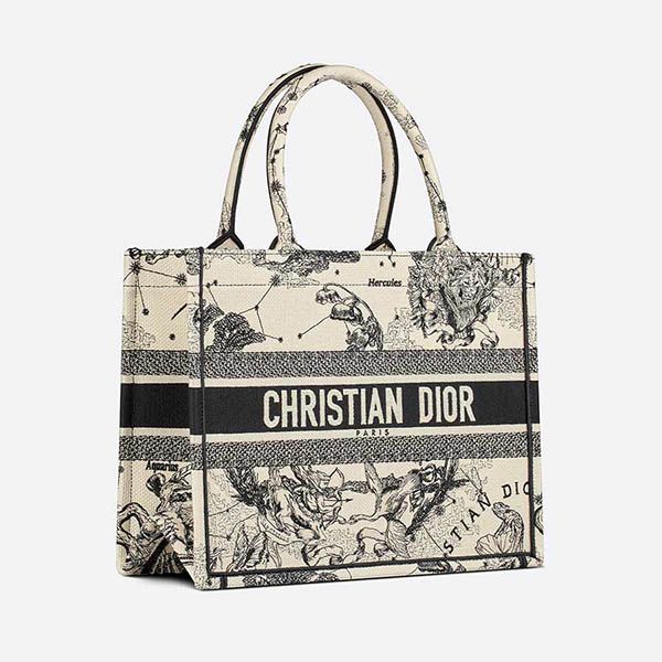 Dior All You Need To Know About The Small Book Tote  BAGAHOLICBOY