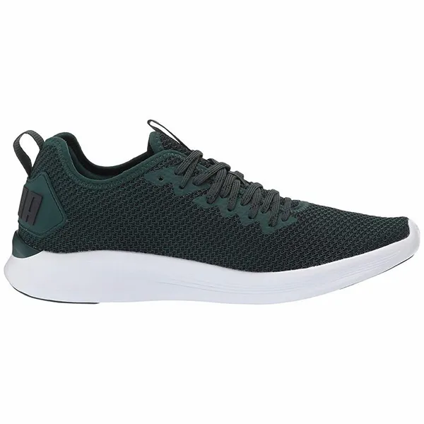 Giày Thể Thao Puma Ignite Flash FS (Xanh Green) - Giày - Vua Hàng Hiệu