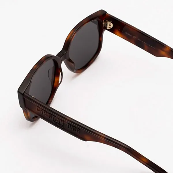 Kính Mát Dior Wildior SU 26A0 Màu Nâu