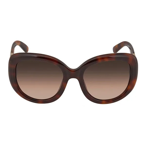 Kính Mát Salvatore Ferragamo Brown Oval Ladies Sunglasses SF727S 214 53 Màu Nâu