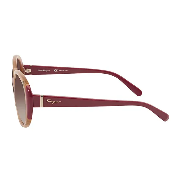 Kính Mát Salvatore Ferragamo Brown Oval Ladies Sunglasses SF842SA 729 58 Màu Nâu