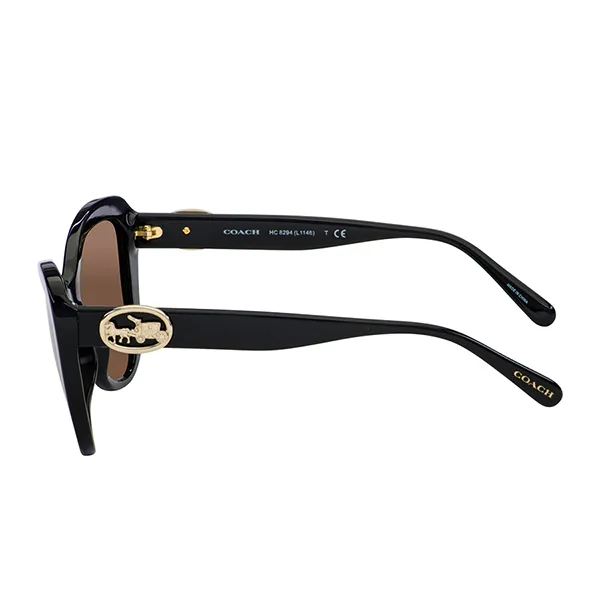 Kính Mát Coach Women Butterfly Sunglasses HC8294-500273 57mm Màu Nâu