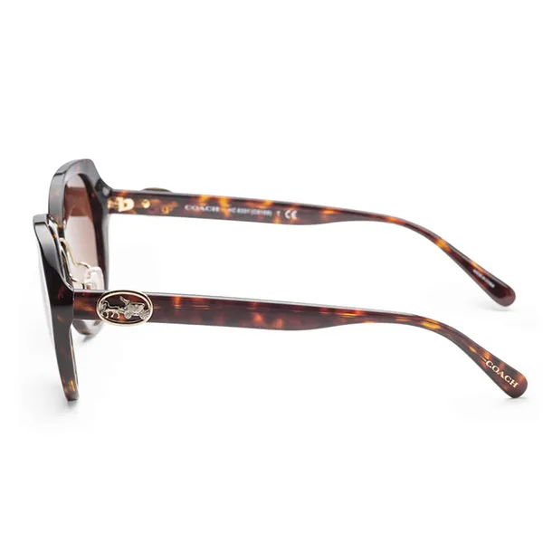Kính Mát Coach Women Dark Tortoise Sunglasses HC8331-512013 55 Màu Nâu - Kính mắt - Vua Hàng Hiệu
