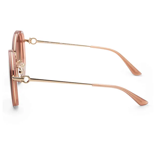 Kính Mát Salvatore Ferragamo Fashion Women's Sunglasses SF214SK-272 Màu Nâu Gradient