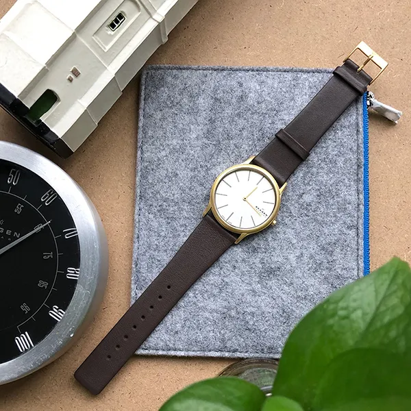 Đồng Hồ Nam Skagen 858XLGLD Màu Vàng Trắng