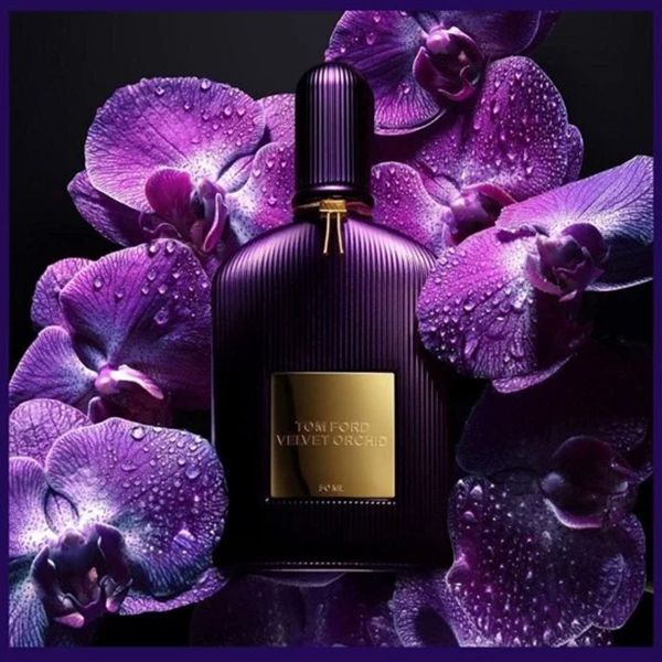 Nước Hoa Nữ Tom Ford Velvet Orchid For Women 50ml - 3