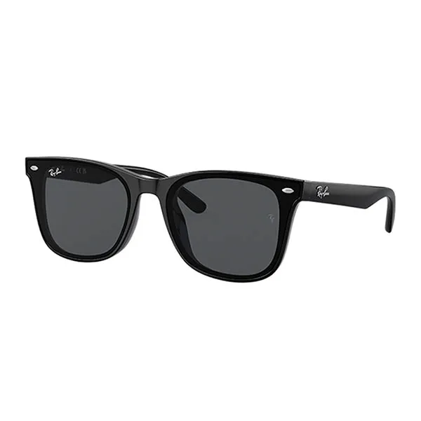 Kính Mát Unisex Ray-Ban 0RB4391D 601/8765.CS Màu Đen Khói
