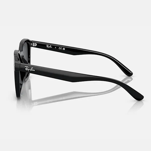 Kính Mát Unisex Ray-Ban 0RB4392D 601/8766.CS Màu Đen Khói