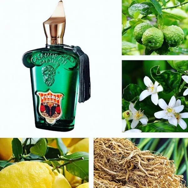 Nước Hoa Nam Xerjoff Casamorati 1888 Fiero Eau De Parfum 100ml - Nước hoa - Vua Hàng Hiệu