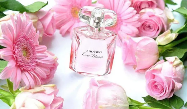 Set Nước Hoa Shiseido Ever Bloom (50ml + Dưỡng Thể 50ml + Sữa Tắm 50ml)