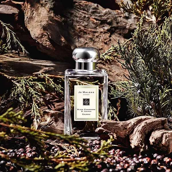 Nước Hoa Unisex Jo Malone Black Cedarwood & Juniper 100ml - Nước hoa - Vua Hàng Hiệu